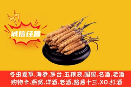 深圳市福田回收冬虫夏草